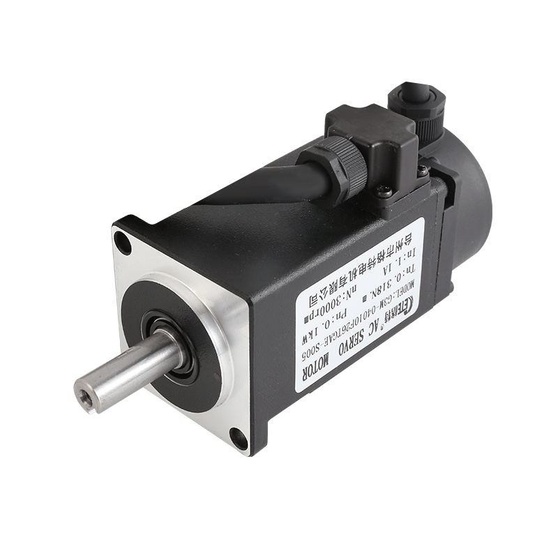 G3 Series 40mm 220V 3000 Rotary Servo Motor With Oil Seal