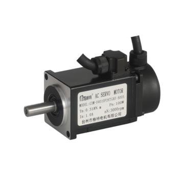 G3 Series 40mm 220V 3000 Rotary Servo Motor With Oil Seal